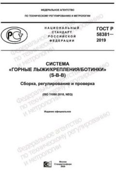 GOST R 58381-2019