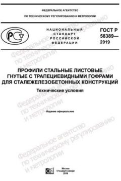 GOST R 58389-2019
