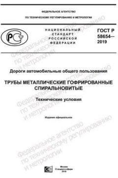 GOST R 58654-2019