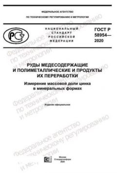 GOST R 58954-2020